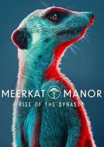 Watch Meerkat Manor: Rise of the Dynasty Zumvo
