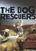 Watch The Dog Rescuers with Alan Davies Zumvo