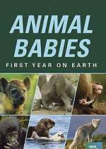 Watch Animal Babies: First Year on Earth Zumvo
