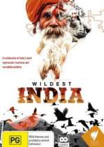 Watch Wildest India Zumvo