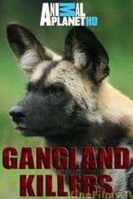 Watch Gangland Killers Zumvo