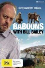 Watch Baboons with Bill Bailey Zumvo