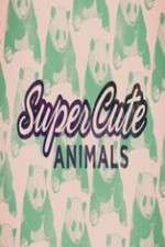 Watch Super Cute Animals Zumvo