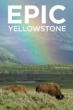 Watch Epic Yellowstone Zumvo