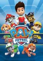 Watch Paw Patrol Zumvo