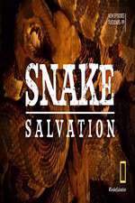 Watch Snake Salvation Zumvo