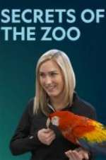 Watch Secrets of the Zoo Zumvo