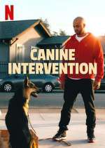 Watch Canine Intervention Zumvo