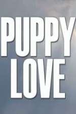 Watch Puppy Love Zumvo