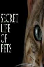 Watch The Secret Life of Pets Zumvo