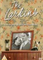 Watch The Larkins Zumvo