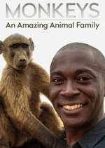 Watch Monkeys: An Amazing Animal Family Zumvo