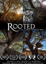 Watch Rooted Zumvo