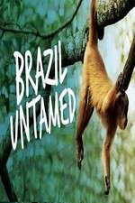 Watch Brazil Untamed Zumvo