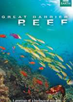 Watch Great Barrier Reef Zumvo