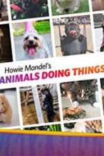 Watch Howie Mandel\'s Animals Doing Things Zumvo