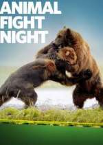 Watch Animal Fight Night Zumvo