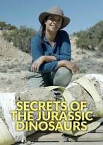 Watch Secrets of the Jurassic Dinosaurs Zumvo