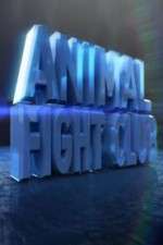 Watch Animal Fight Club  Zumvo