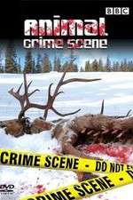 Watch Animal Crime Scene Zumvo