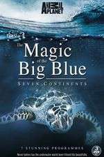 Watch The Magic of the Big Blue Zumvo