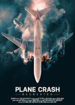 Watch Plane Crash Recreated Zumvo