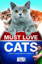 Watch Must Love Cats Zumvo