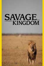 Watch Savage Kingdom Zumvo