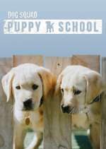 Watch Dog Squad: Puppy School Zumvo