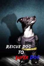 Watch Rescue Dog to Super Dog Zumvo