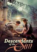 Watch Descendants of the Sun Zumvo