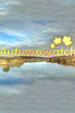 Watch Autumnwatch Zumvo