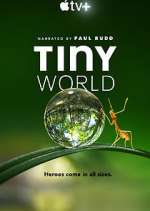 Watch Tiny World Zumvo