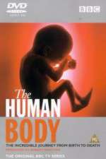 Watch The Human Body Zumvo