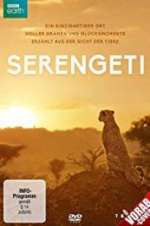 Watch Serengeti Zumvo