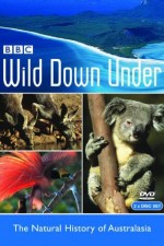 Watch Wild Down Under Zumvo