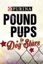 Watch Purina Pound Pups To Dog Stars Zumvo