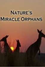 Watch Nature's Miracle Orphans Zumvo