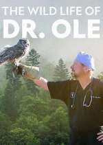 Watch The Wild Life of Dr. Ole Zumvo