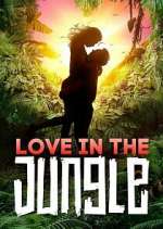 Watch Love in the Jungle Zumvo