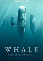 Watch Whale with Steve Backshall Zumvo