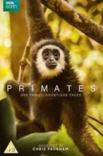 Watch Primates Zumvo