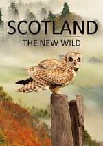 Watch Scotland - The New Wild Zumvo