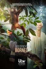 Watch Judi Dench\'s Wild Borneo Adventure Zumvo