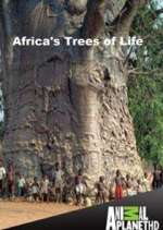 Watch Africa's Trees of Life Zumvo
