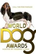 Watch The World Dog Awards Zumvo