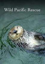 Watch Wild Pacific Rescue Zumvo