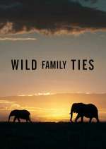 Watch Wild Family Ties Zumvo