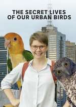 Watch The Secret Lives of Our Urban Birds Zumvo