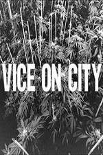 Watch VICE on City Zumvo